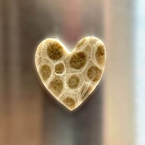 Petoskey Stone Heart Magnet