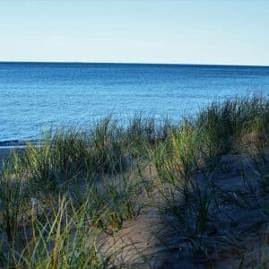 Shade On Lake Superior Art