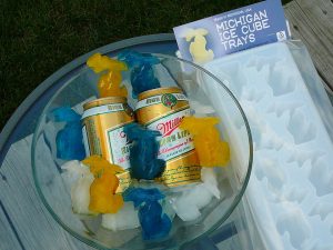 Michigan Ice Cubes
