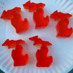Michigan Shape Jello