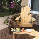 Cedar Michigan Adirondack Chair