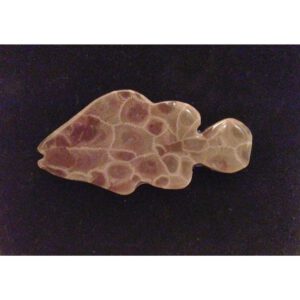 Petoskey Stone Fish Magnet