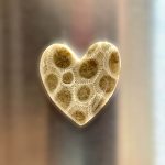 Petoskey Stone Heart Magnet