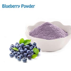Fruit Advantage Wild Blueberry Powder