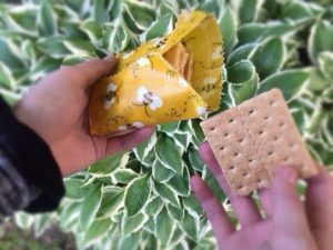 Bubbly Bee Beeswax Food Wrap