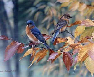 Blue Birds and Beech Leaves Giclee Print