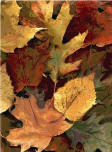 Vertical Fall Leaves Photo Cutting Board