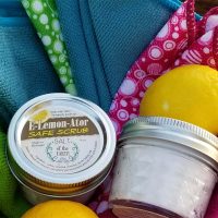 E-Lemon-Ator All Natural Safe Scrub Cleaner