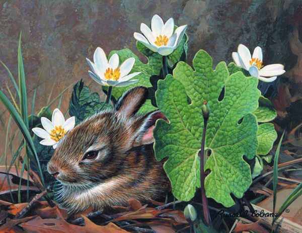 Spring Baby Giclee Print on Wrapped Canvas by Artist Russell Cobane