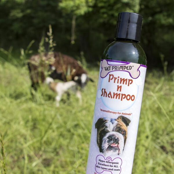 Primp n Shampoo for farm animals
