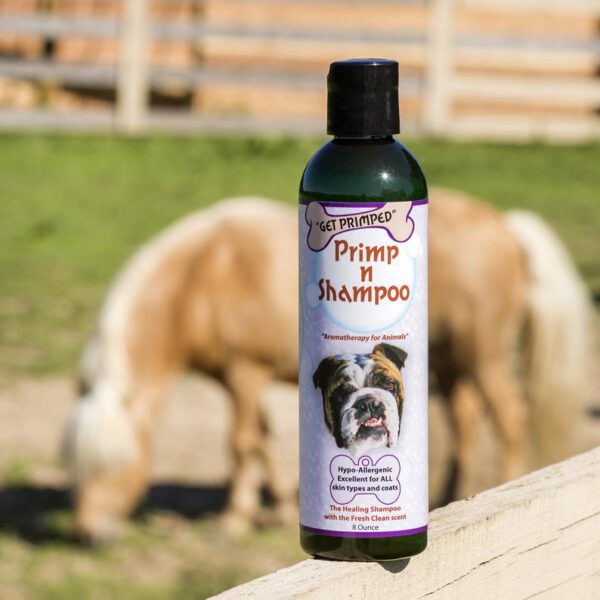 Primp n Shampoo for horses