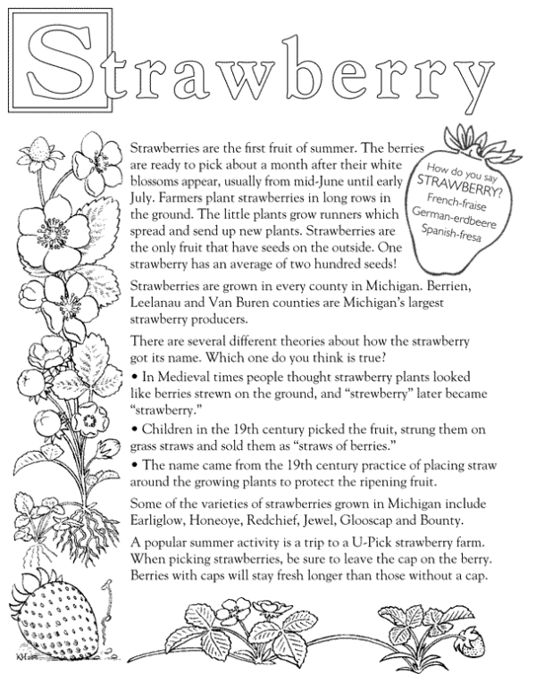 Strawberry Information Page