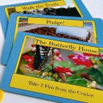 All Around Mackinac Island Game Blue Cards
