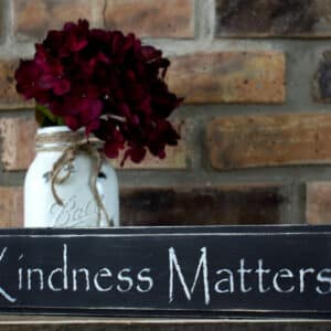Black Kindness Matters Sign