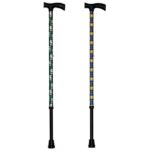 Michigan College Canes - Image 2