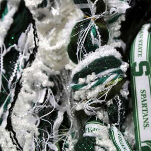 Michigan State Scarf Sports Team Scarves