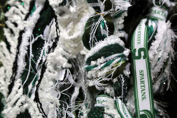 Michigan State Scarf Sports Team Scarves