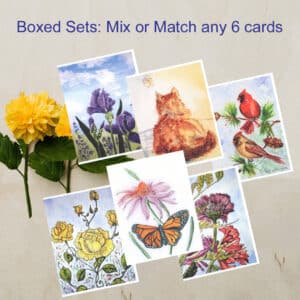Boxed Assorted Greeting Cards Mix or Match