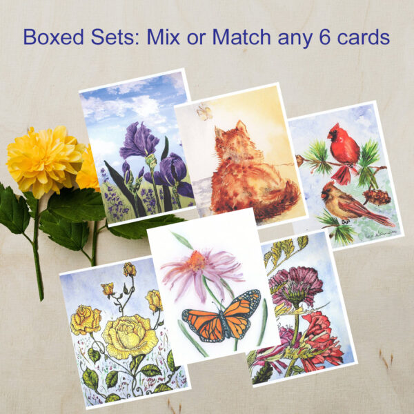 Boxed Assorted Greeting Cards Mix or Match