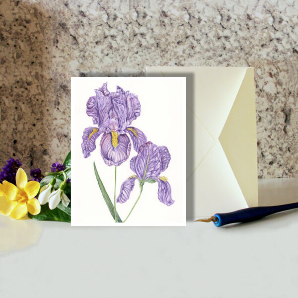 Frilly Purple Iris Greeting Card Floral Nature Cards