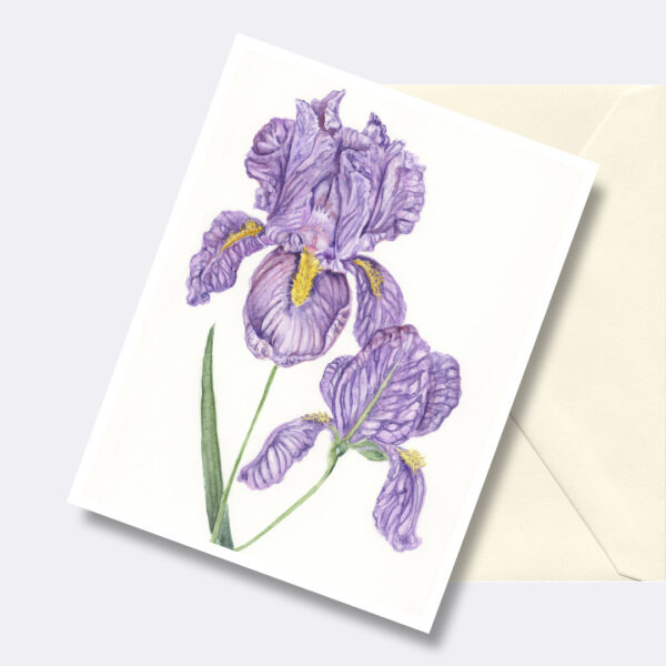 Frilly Purple Iris Greeting Card