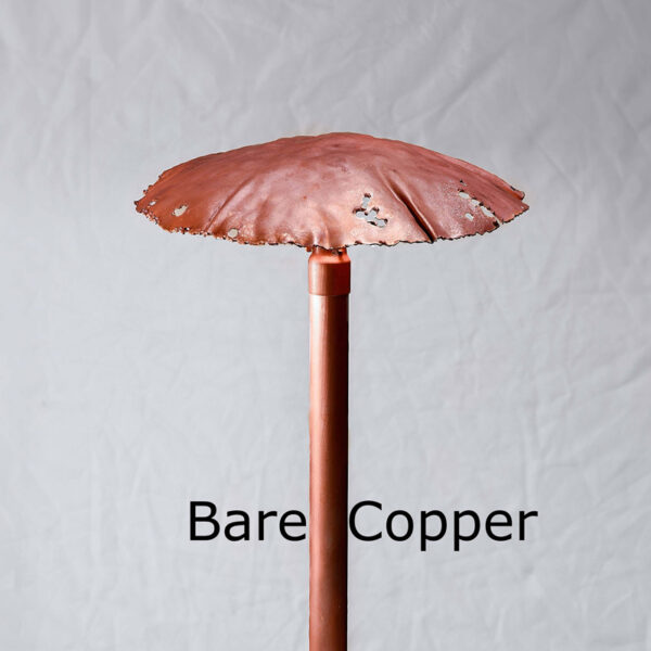Mushroom Cap Copper LED Landscape Light Bare Copper