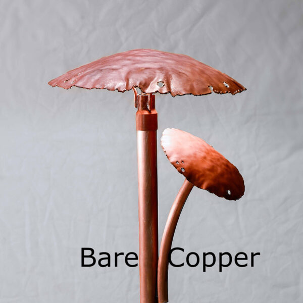 Two Mushroom Caps Copper LED Landscape Light Bare Copper