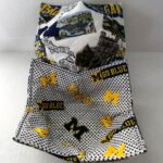 Reversible Michigan Microwave Bowl Cozy