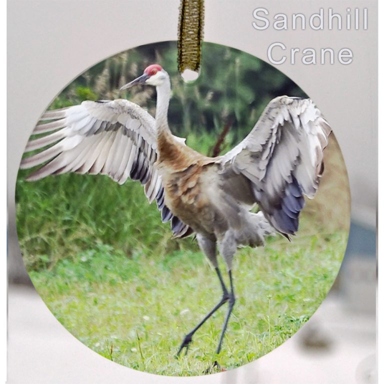 Glass Photo Suncatcher Ornament Sandhill Crane