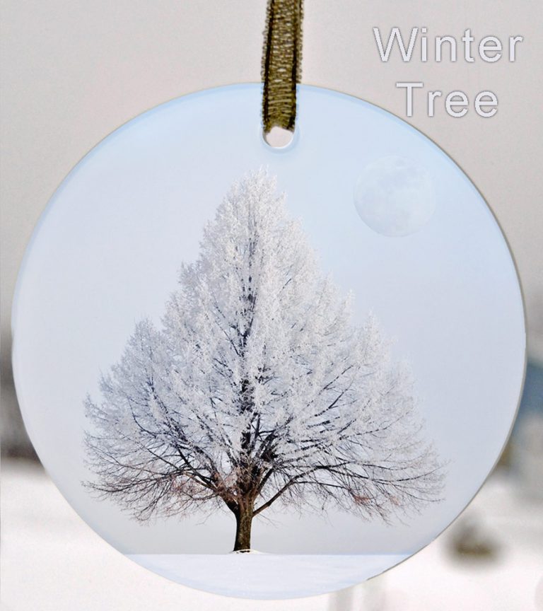 Glass Photo Suncatcher Ornament Winter Tree