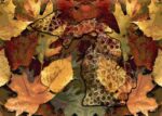 Petoskey Stone Michigan Glass Cutting Board Fall Leaves