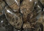 Michigan Glass Cutting Board Petoskey Stone
