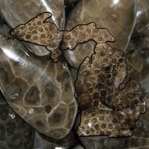 Michigan Glass Cutting Board Petoskey Stone