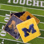 University of Michigan M Coaster