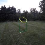 Discet Flying Disc Game - Image 2