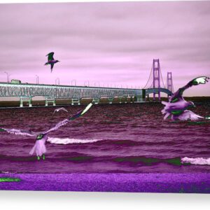 Mackinac Bridge Seagulls Canvas Print