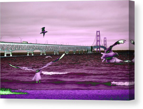 Mackinac Bridge Seagulls Canvas Print