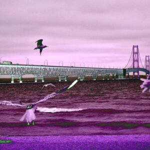Mackinac Bridge Seagulls Wall Art