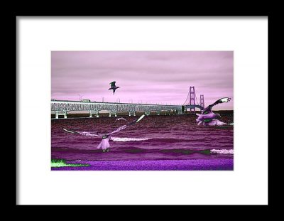 Mackinac Bridge Seagulls Print