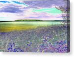 Au Train Island Greened Over Canvas Print