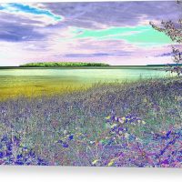 Au Train Island Greened Over Canvas Print