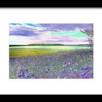 Au Train Island Greened Over Print