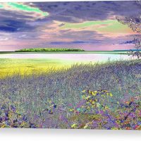 Au Train Island Canvas Print