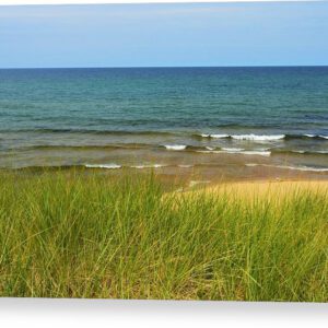 Beach Grass Canvas Print Lake Superior Beach