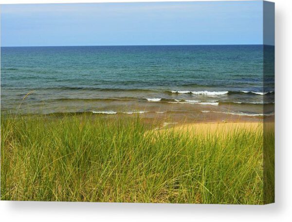 Beach Grass Canvas Print Lake Superior Beach