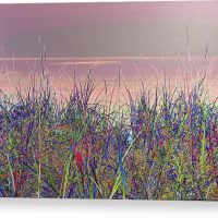 Blue Grass Canvas Print Lake Superior Beach