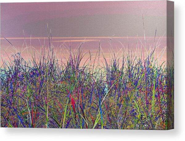 Blue Grass Canvas Print Lake Superior Beach