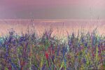 Blue Grass Wall Art