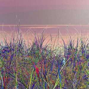 Blue Grass Wall Art
