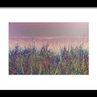 Blue Grass Print Lake Superior Beach